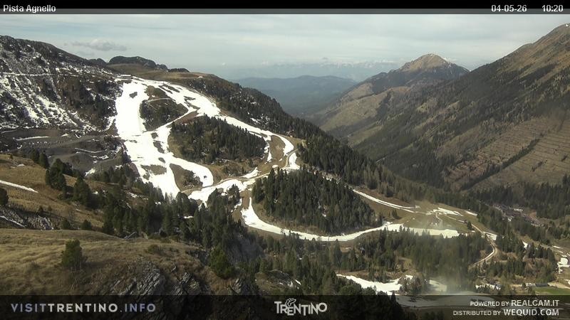 Archiv Foto Webcam Val di Fiemme Agnello