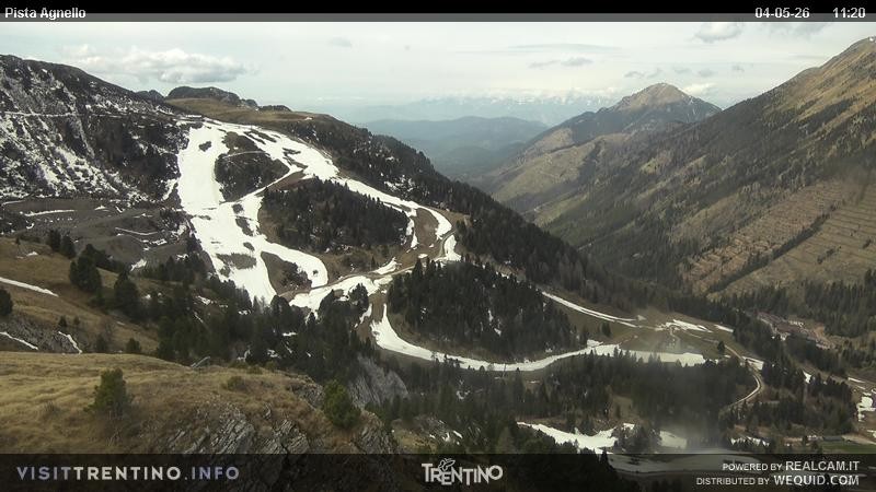 Archiv Foto Webcam Val di Fiemme Agnello
