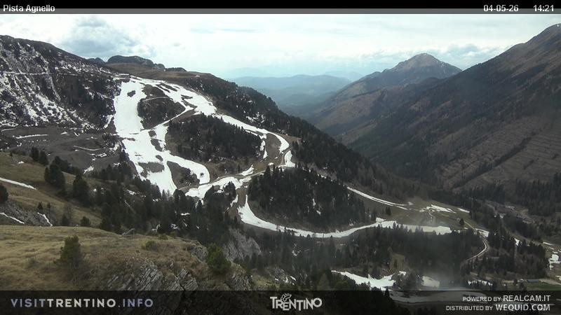 Archiv Foto Webcam Val di Fiemme Agnello