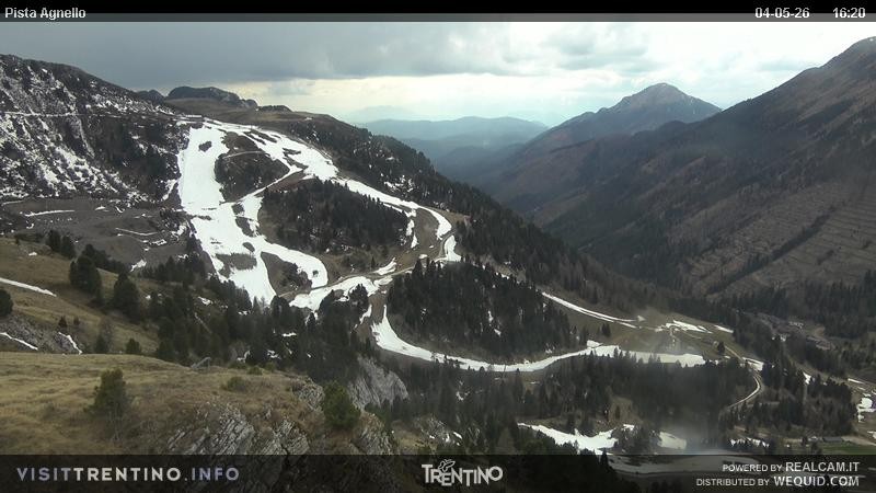 Archiv Foto Webcam Val di Fiemme Agnello