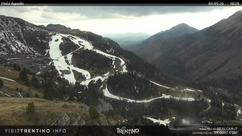 Archiv Foto Webcam Val di Fiemme Agnello