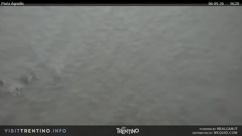 Archived image Webcam Val di Fiemme Agnello