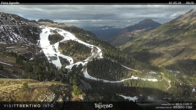 Archiv Foto Webcam Val di Fiemme Agnello