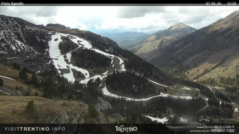 Archiv Foto Webcam Val di Fiemme Agnello