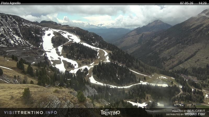 Archiv Foto Webcam Val di Fiemme Agnello