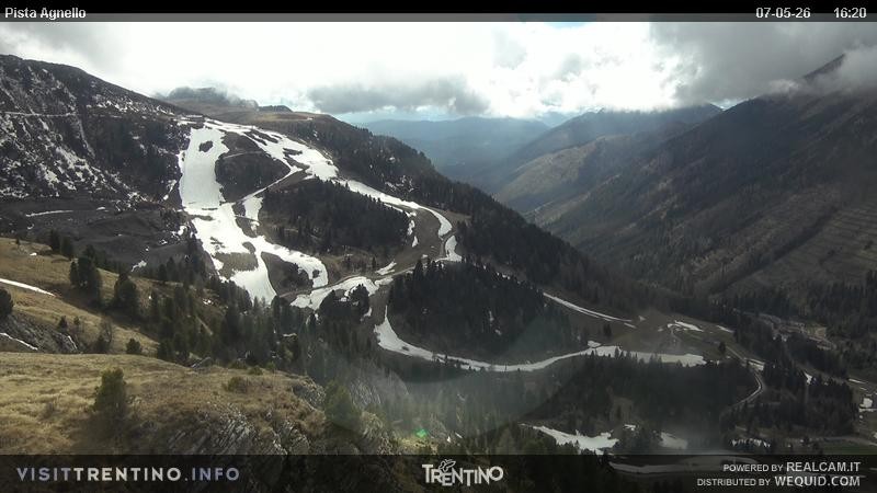 Archiv Foto Webcam Val di Fiemme Agnello