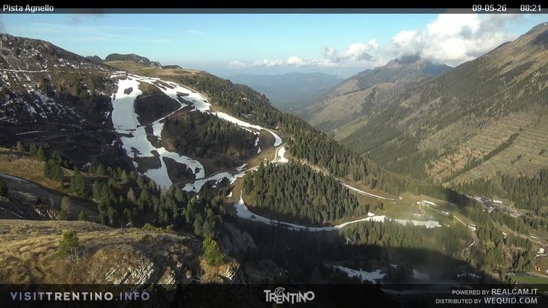 Archiv Foto Webcam Val di Fiemme Agnello
