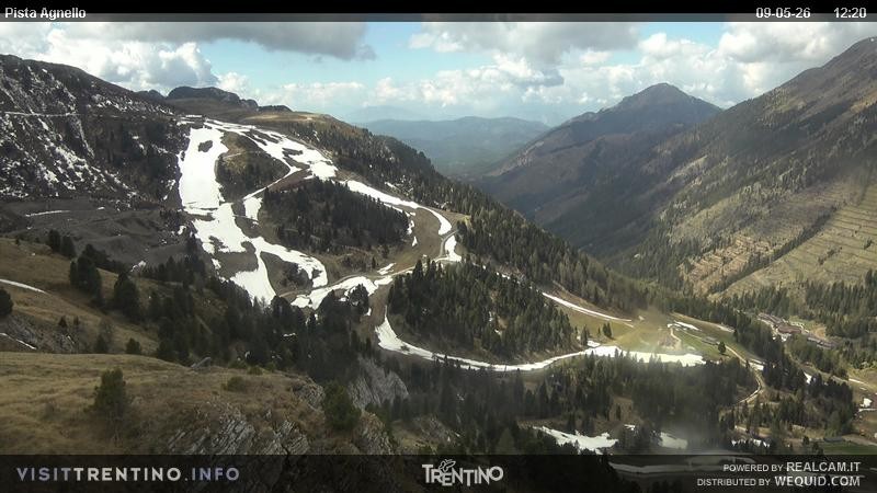 Archiv Foto Webcam Val di Fiemme Agnello