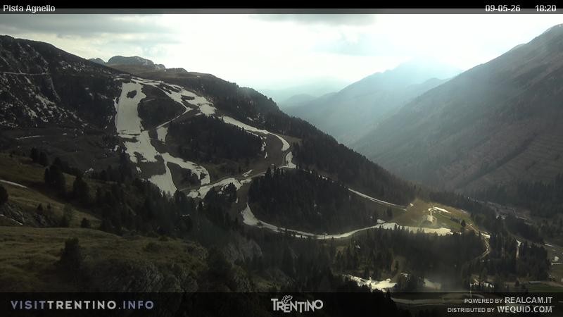 Archived image Webcam Val di Fiemme Agnello