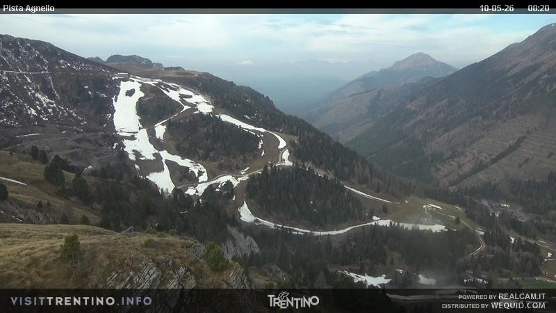 Archiv Foto Webcam Val di Fiemme Agnello