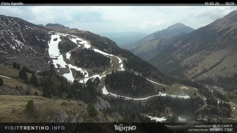 Archiv Foto Webcam Val di Fiemme Agnello