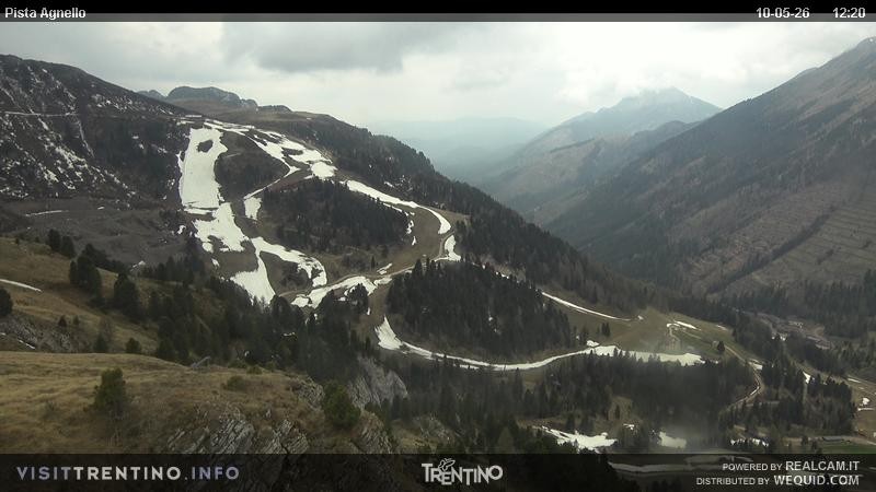 Archiv Foto Webcam Val di Fiemme Agnello