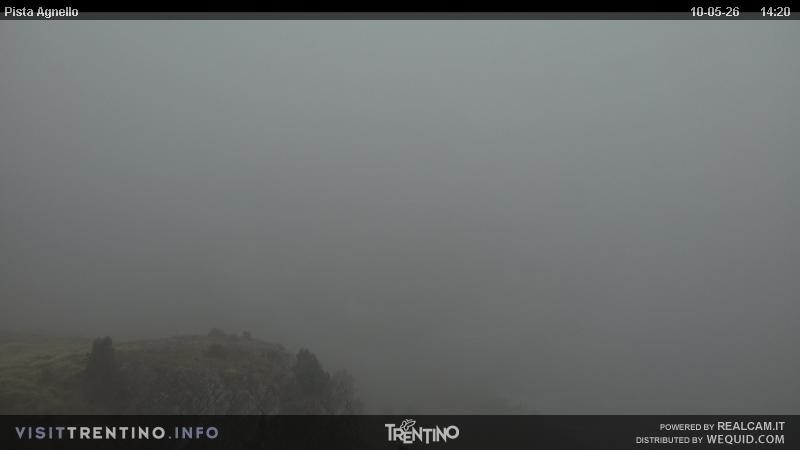 Archiv Foto Webcam Val di Fiemme Agnello