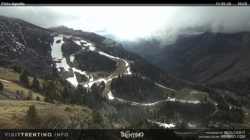 Archiv Foto Webcam Val di Fiemme Agnello