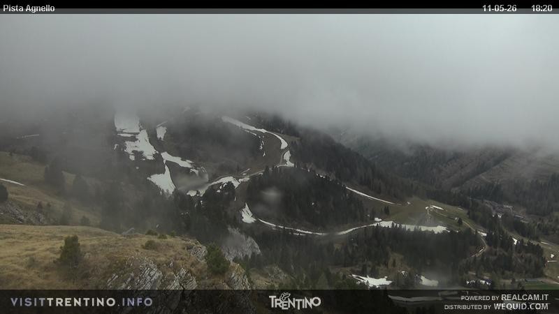 Archiv Foto Webcam Val di Fiemme Agnello