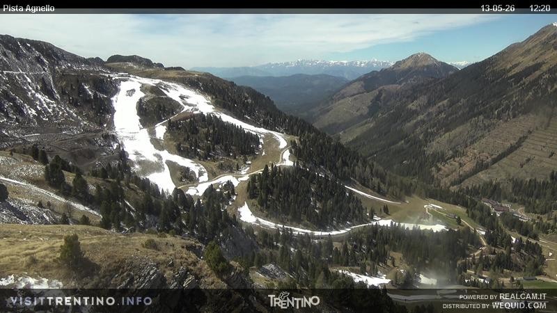 Archiv Foto Webcam Val di Fiemme Agnello