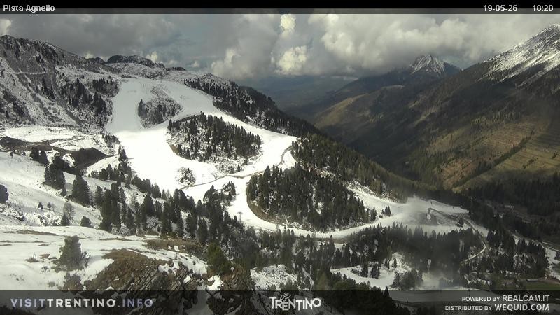 Archiv Foto Webcam Val di Fiemme Agnello