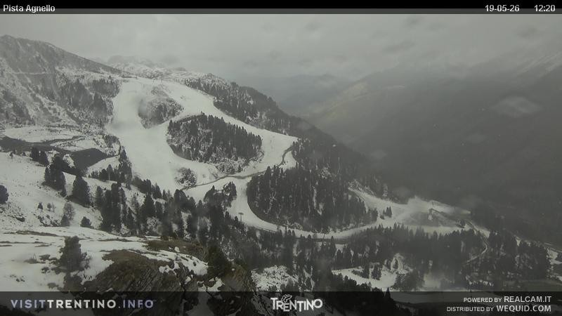 Archiv Foto Webcam Val di Fiemme Agnello