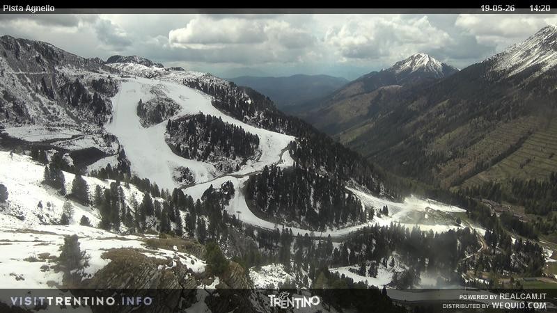 Archiv Foto Webcam Val di Fiemme Agnello