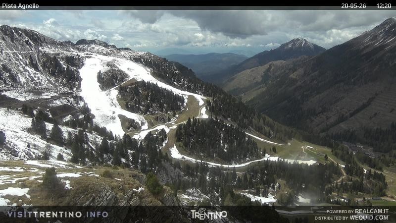 Archiv Foto Webcam Val di Fiemme Agnello