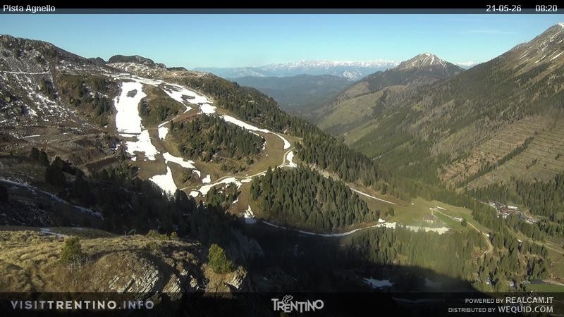 Archiv Foto Webcam Val di Fiemme Agnello