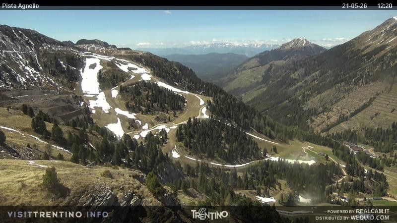 Archiv Foto Webcam Val di Fiemme Agnello