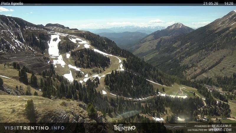 Archiv Foto Webcam Val di Fiemme Agnello