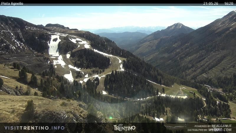 Archiv Foto Webcam Val di Fiemme Agnello