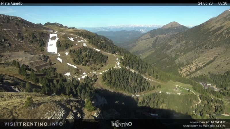 Archiv Foto Webcam Val di Fiemme Agnello
