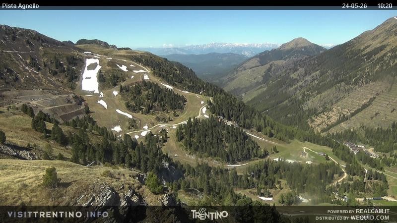 Archiv Foto Webcam Val di Fiemme Agnello