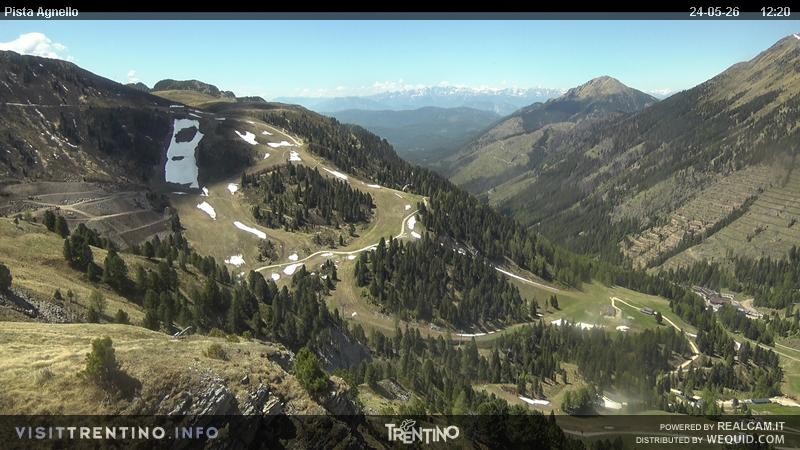 Archiv Foto Webcam Val di Fiemme Agnello