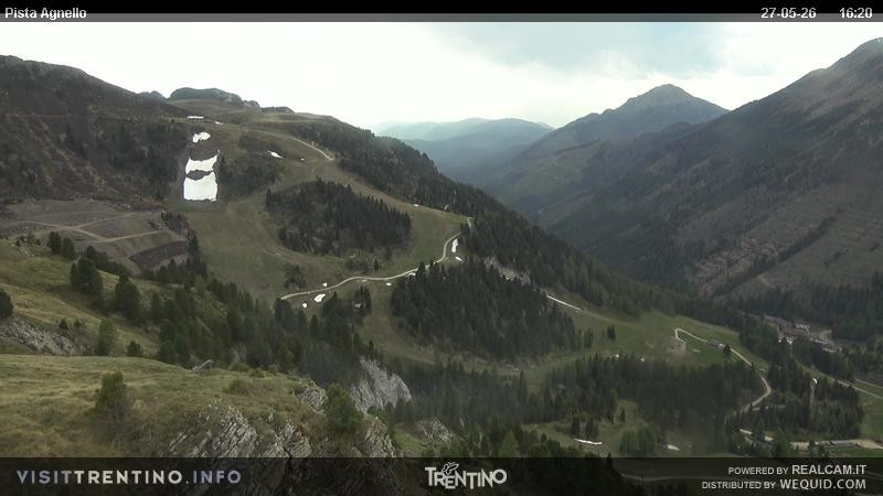 Archiv Foto Webcam Val di Fiemme Agnello
