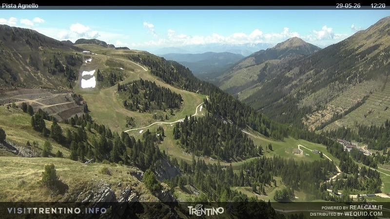 Archiv Foto Webcam Val di Fiemme Agnello