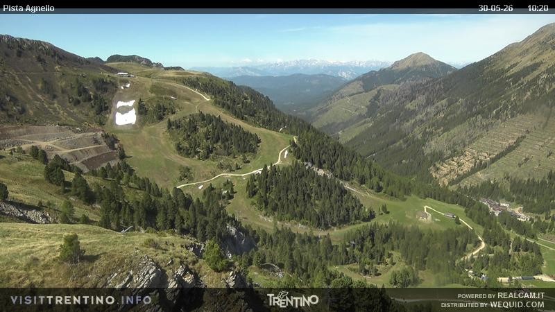 Archiv Foto Webcam Val di Fiemme Agnello
