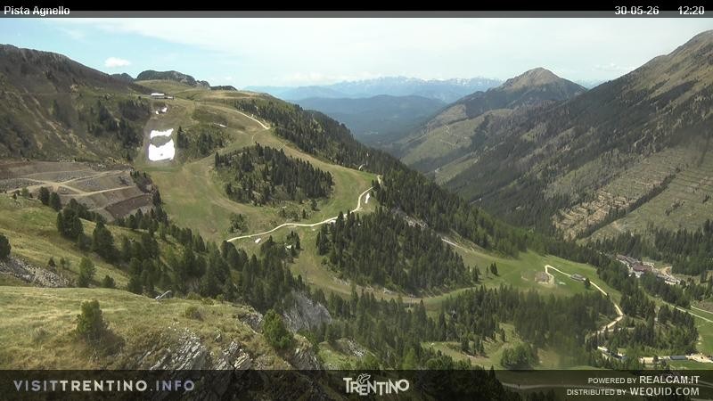 Archiv Foto Webcam Val di Fiemme Agnello