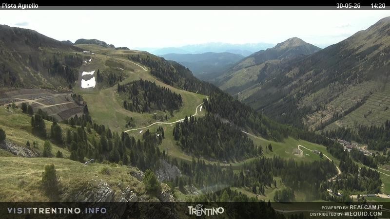 Archiv Foto Webcam Val di Fiemme Agnello