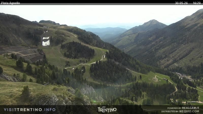 Archiv Foto Webcam Val di Fiemme Agnello