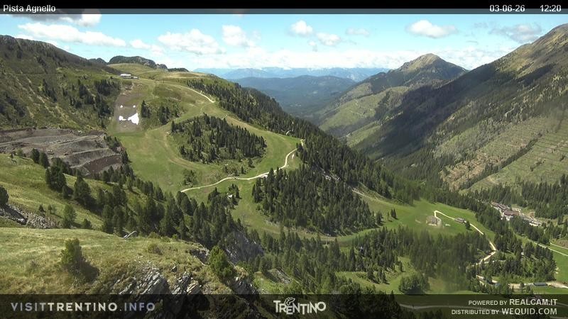 Archiv Foto Webcam Val di Fiemme Agnello
