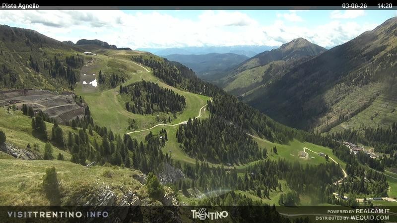 Archiv Foto Webcam Val di Fiemme Agnello