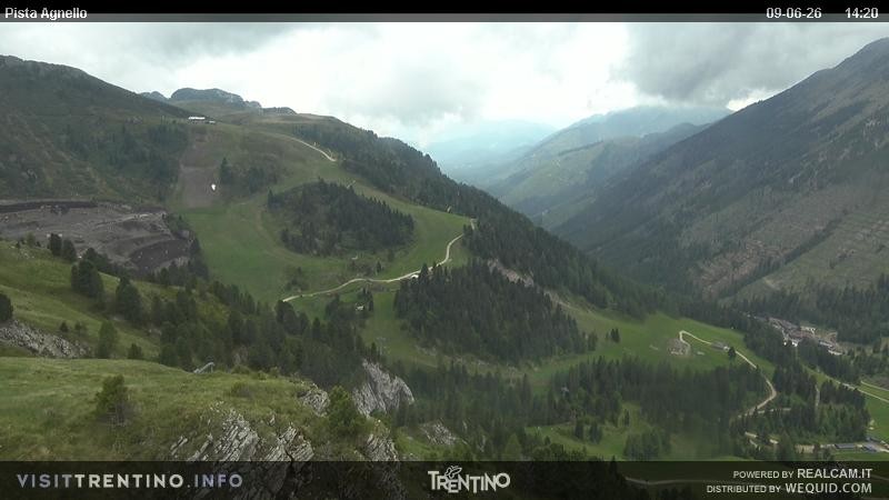 Archiv Foto Webcam Val di Fiemme Agnello
