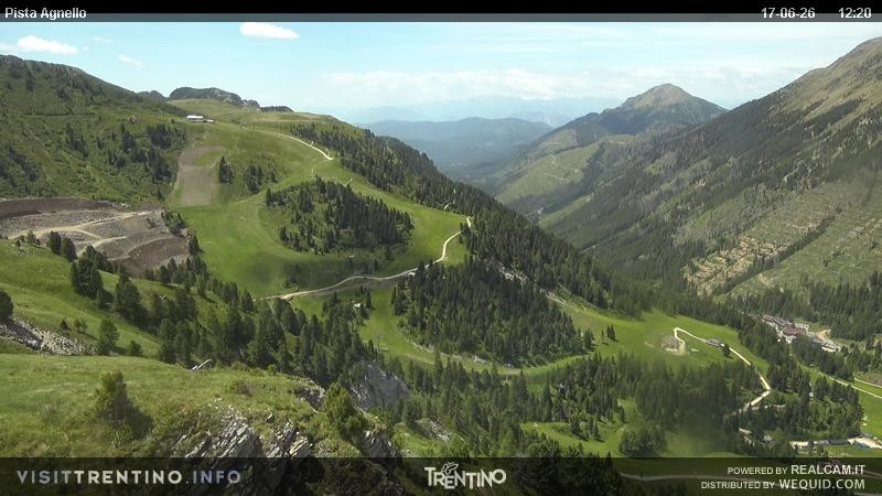 Archiv Foto Webcam Val di Fiemme Agnello