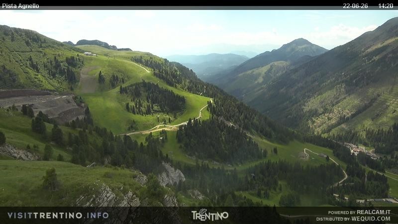 Archiv Foto Webcam Val di Fiemme Agnello