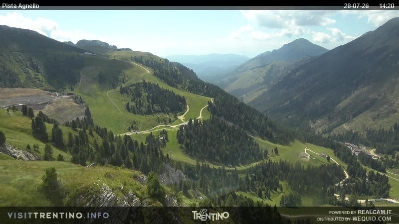 Archiv Foto Webcam Val di Fiemme Agnello