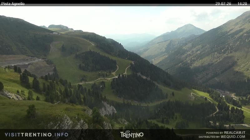 Archiv Foto Webcam Val di Fiemme Agnello