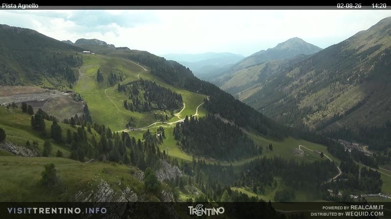 Archiv Foto Webcam Val di Fiemme Agnello