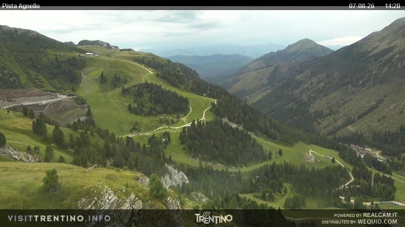 Archiv Foto Webcam Val di Fiemme Agnello