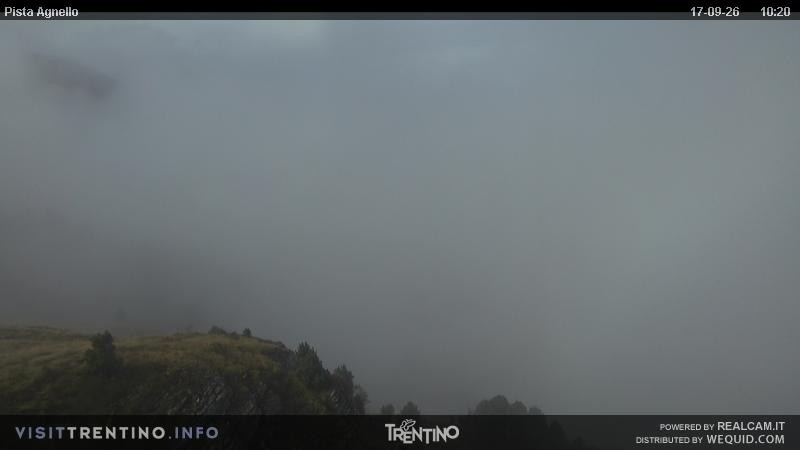 Archiv Foto Webcam Val di Fiemme Agnello