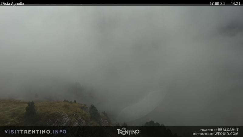 Archiv Foto Webcam Val di Fiemme Agnello