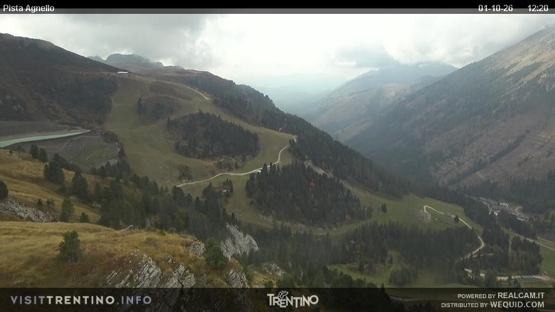 Archiv Foto Webcam Val di Fiemme Agnello