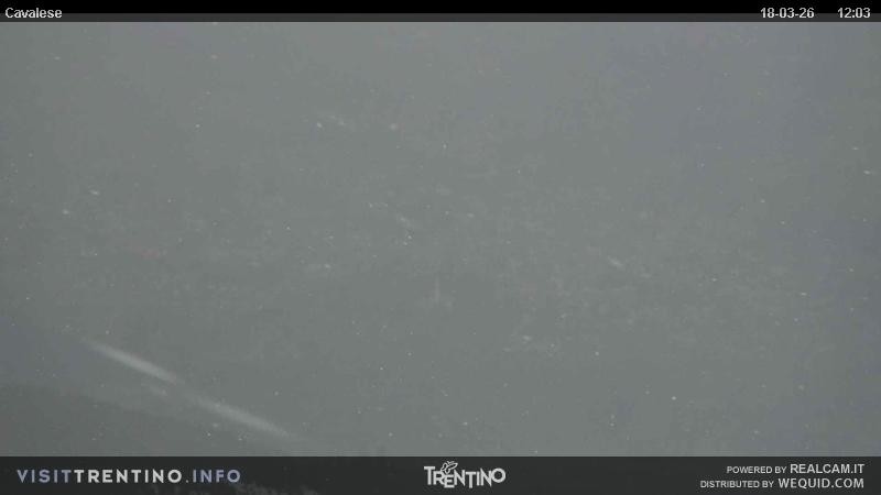 Archiv Foto Webcam Val di Fiemme, Olympiapiste